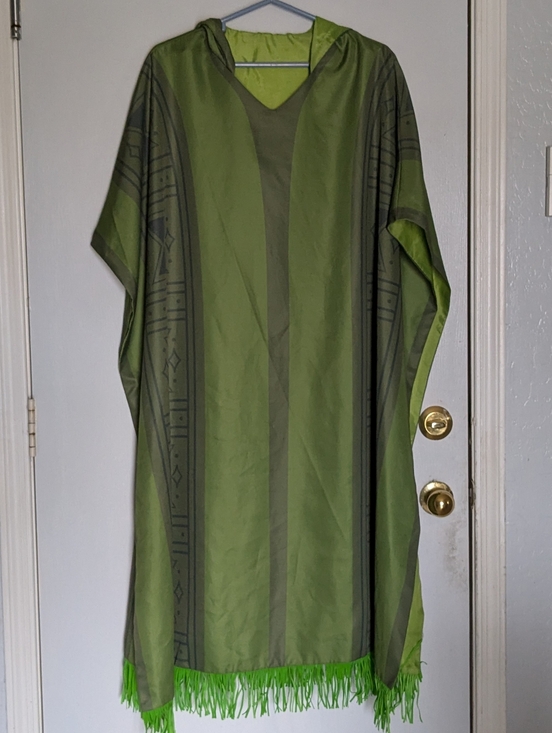 Other - Disney Encanto Costume